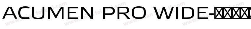ACUMEN PRO WIDE字体转换